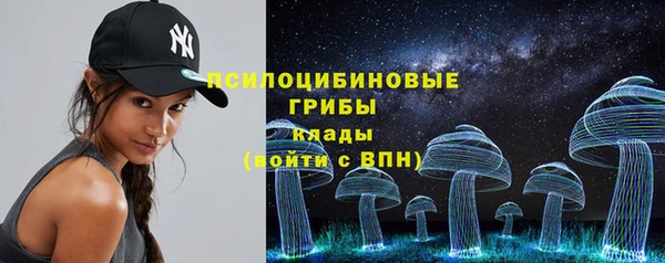 mdpv Арсеньев